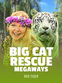 Big Cat Rescue Megaways Game Terbaru: Review, RTP, dan Akses Main banner